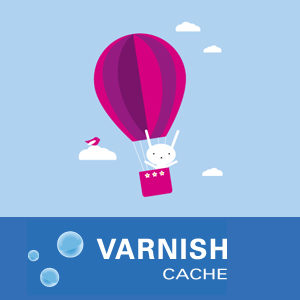 How to configure Varnish Cache access logs